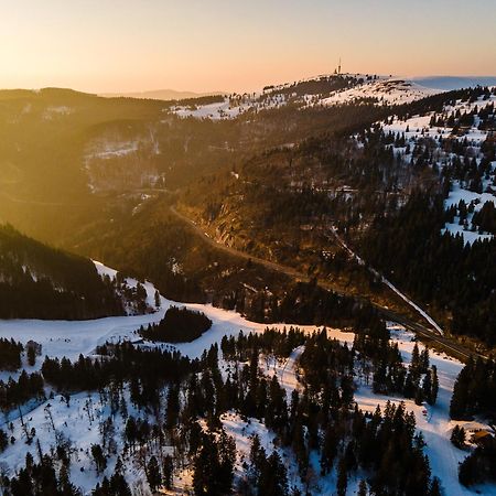 Auerhahn Feldberg Apartment Feldberg  Bagian luar foto