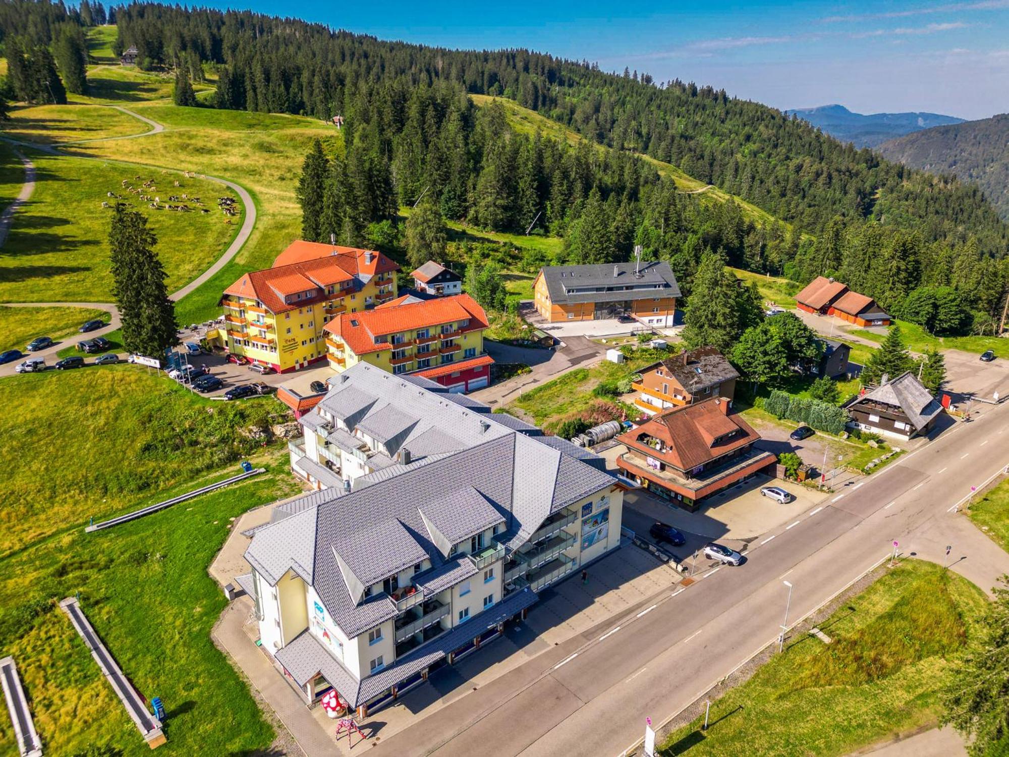 Auerhahn Feldberg Apartment Feldberg  Bagian luar foto