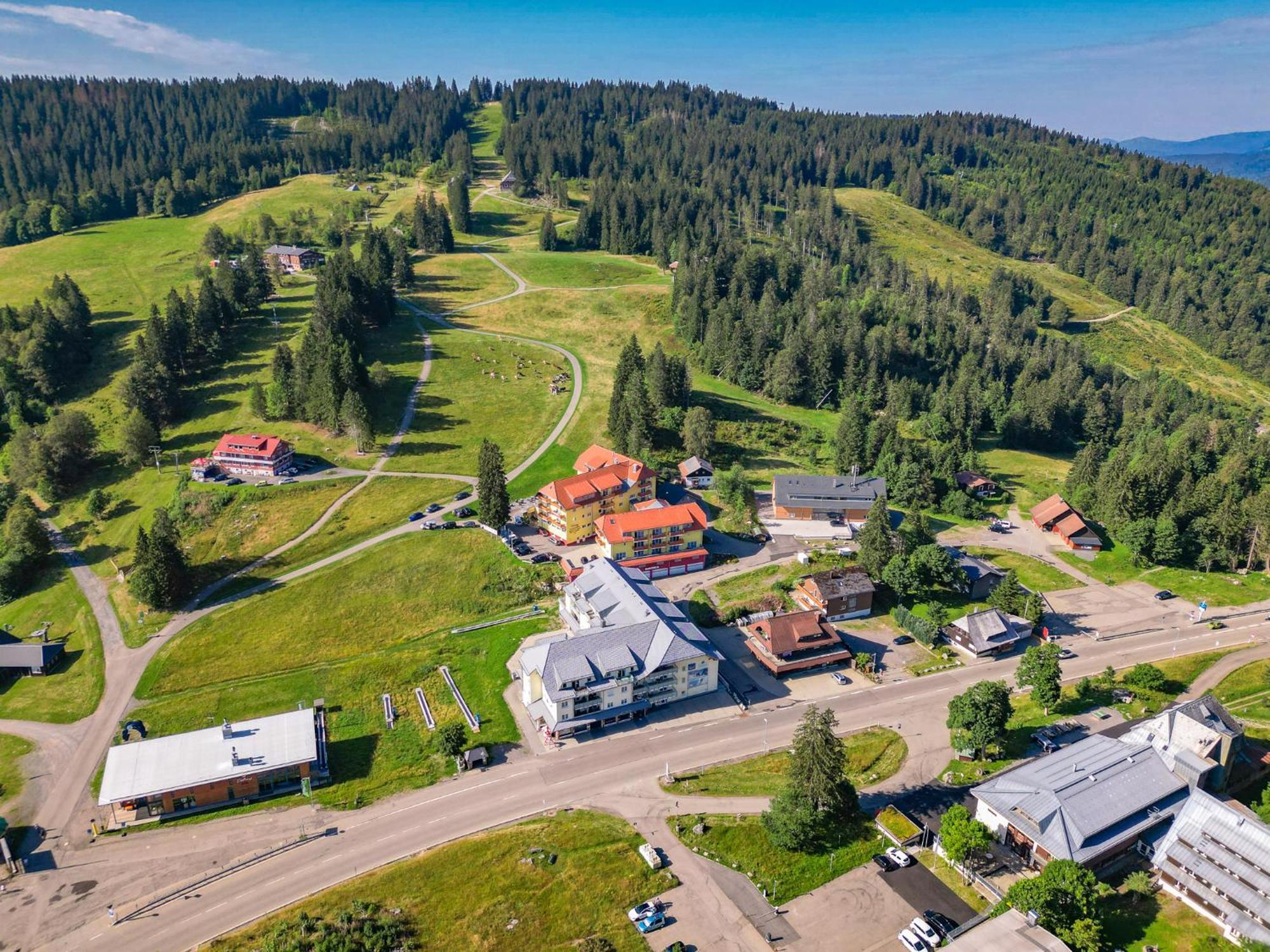 Auerhahn Feldberg Apartment Feldberg  Bagian luar foto