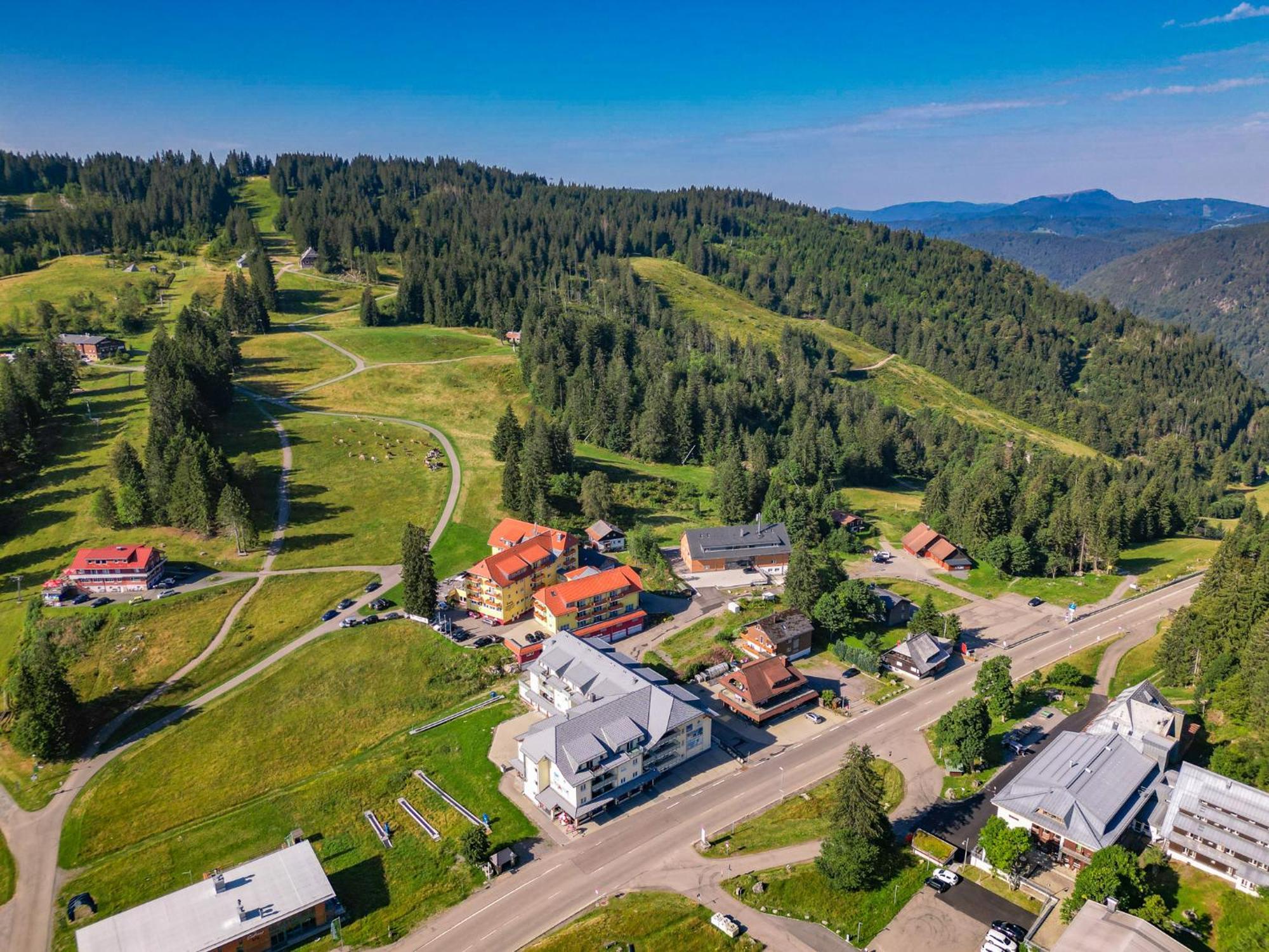 Auerhahn Feldberg Apartment Feldberg  Bagian luar foto